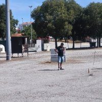 Jogos do Município: Ciborro com bons resultados na Sueca e na Malha